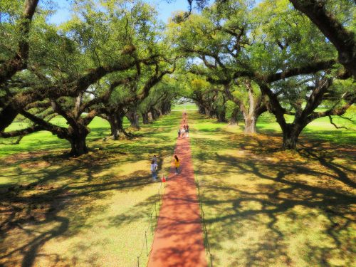 Oak Alley Plantation Tour