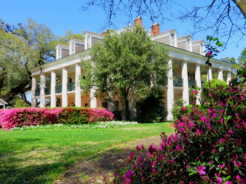 Oak Alley Plantation Tour